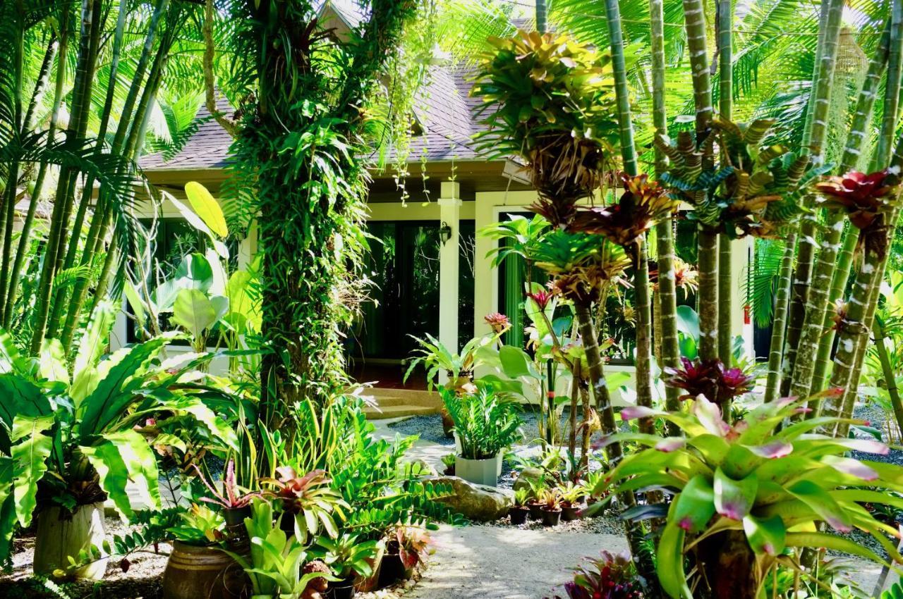 The Nature House Aonang Krabi Thailand Ao Nang Exterior photo