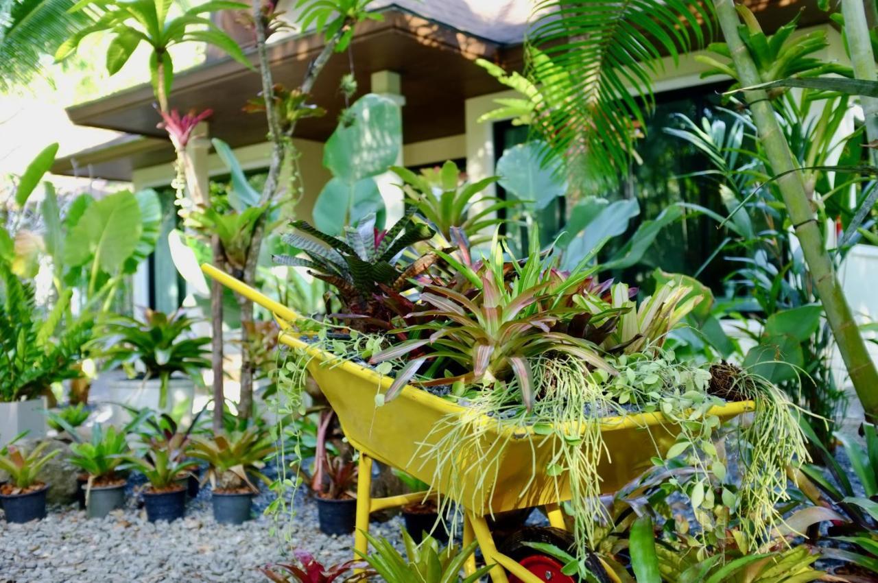 The Nature House Aonang Krabi Thailand Ao Nang Exterior photo
