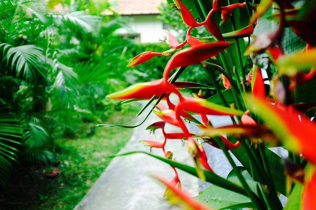 The Nature House Aonang Krabi Thailand Ao Nang Exterior photo
